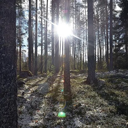 Matka-talo
